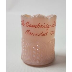Cambridge Glass Crown Tuscan Pink Souvenir Toothpick Holder Founded 1901 Vintage